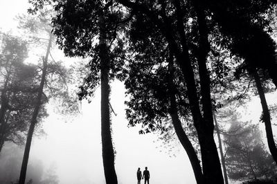 People walking on tree trunk