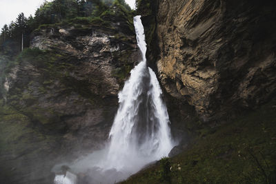 View of waterfall in forest