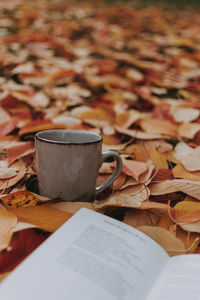 Book by cup on autumn leaves at park