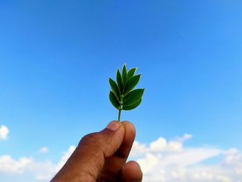 Close-up of hand holding leaf against blue sky