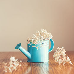 Old withered beautiful white heads flowers of hydrangea in a small blue watering can on a table 