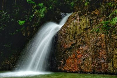 Scenic view of waterfall in forest