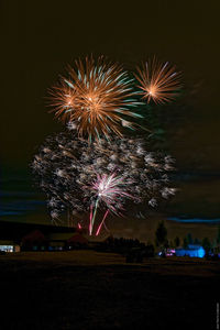 Low angle view of firework display at night