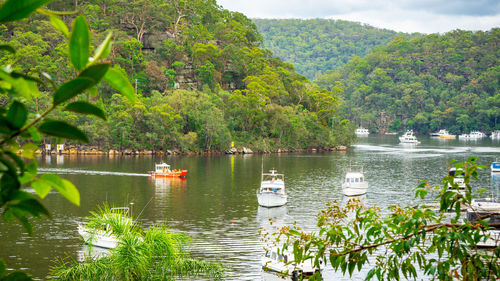 Scenic view of lake against trees