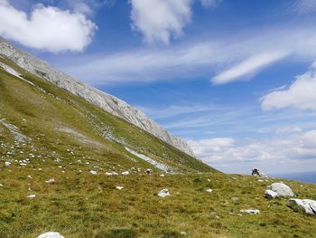 Scenic view of landscape against sky