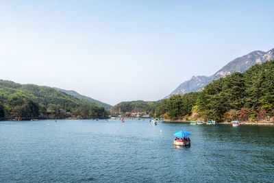 Rear view of woman swimming in sea against clear sky