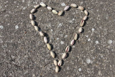 Directly above shot of heart shape made of pistachio nuts