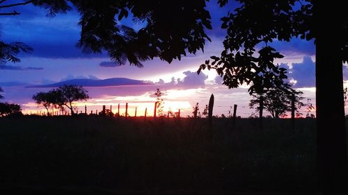 Silhouette trees on field against sky at sunset