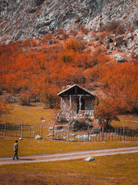 Trees by house during autumn