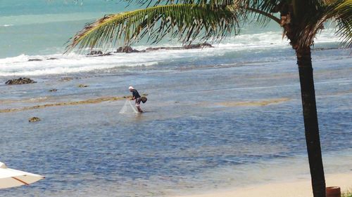 Scenic view of beach