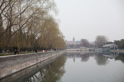 Reflection of trees in river