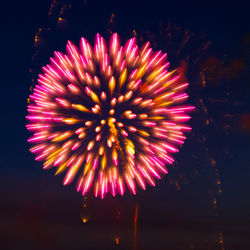 Low angle view of firework display at night