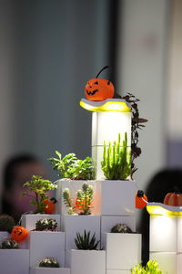 Close-up of stuffed toy on potted plant