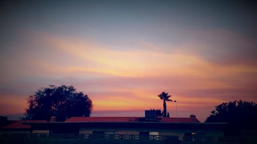 Trees against sky during sunset