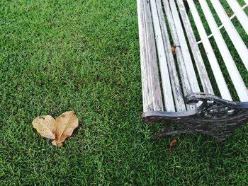 High angle view of snake on field