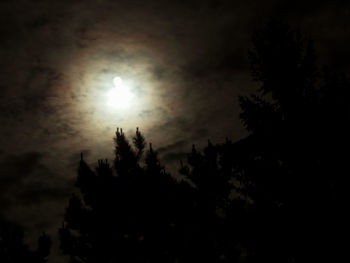 Low angle view of trees against sky at night