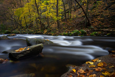 Bode river at bodetal