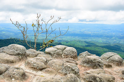 View of rocks on landscape against sky