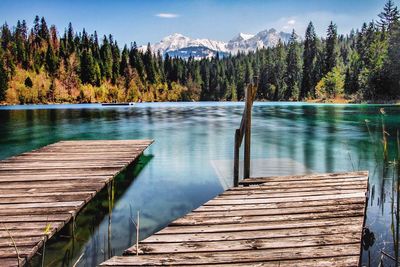 Scenic view of lake by trees in forest