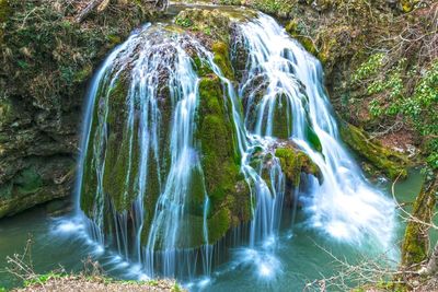 Low angle view of waterfall in forest