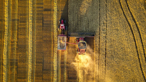 High angle view of worker working at farm
