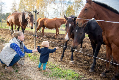 Mother and son looking at horses in ranch