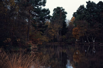 Reflection of trees in lake against sky