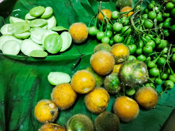 High angle view of fruits growing in water