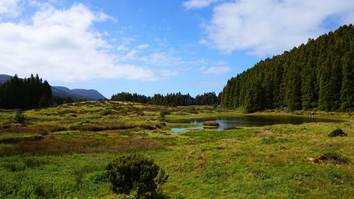 Scenic view of lake and trees against sky