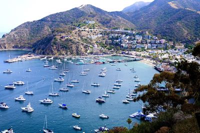 Santa catalina island