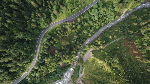 Aerial view of road amidst forest