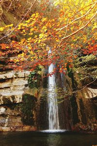 Scenic view of trees during autumn