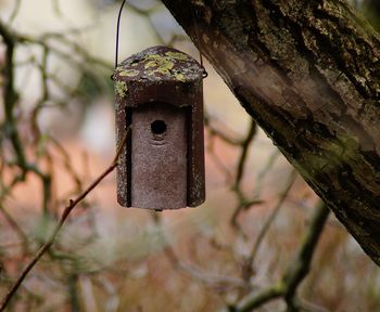 Close-up of old rusty birdhouse on tree