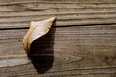 High angle view of dry leaves on wooden table