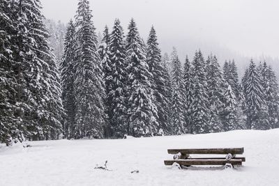 Snow covered park bench on field during winter