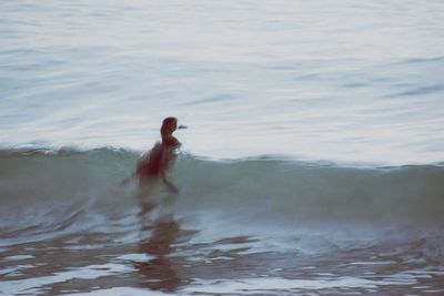 Man in sea against sky