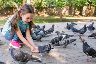 High angle view of woman and birds in park