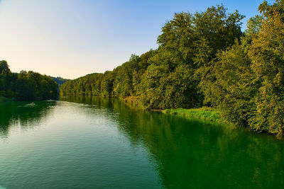 Scenic view of lake by trees against sky