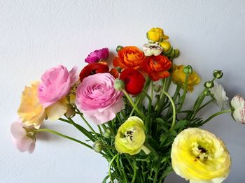 Close-up of roses in vase