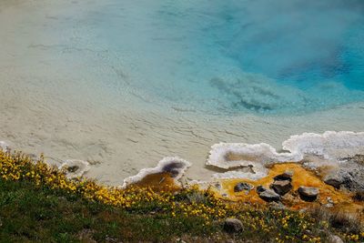 High angle view of rocks on beach