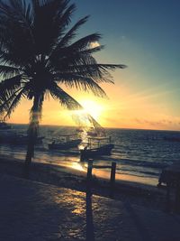 Silhouette palm tree on beach against sky during sunset