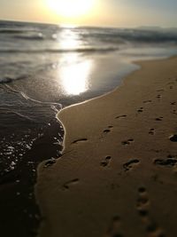 Close-up of beach against sky during sunset