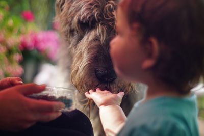 Close-up of boy with dog