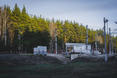 Trees and plants growing on field against sky