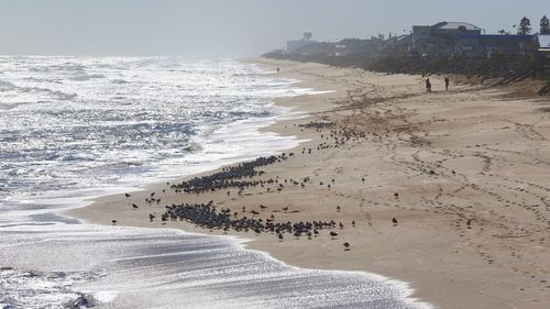 High angle view of beach