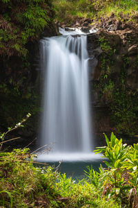 Scenic view of waterfall in forest