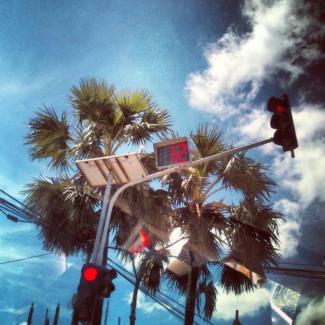 low angle view, sky, palm tree, tree, cloud - sky, cloud, cloudy, day, outdoors, blue, built structure, coconut palm tree, nature, growth, street light, leisure activity, sunlight