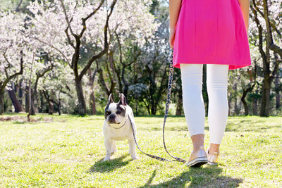 Rear view of man with dog on field