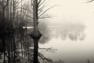 Bare trees by lake against sky