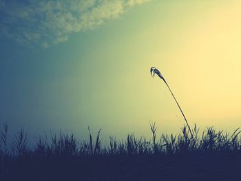 Scenic view of landscape against sky at sunset